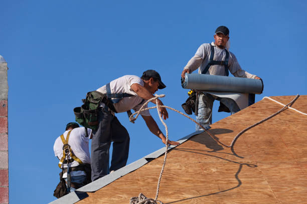Professional Roofing Contractor in Mount Zion, IL