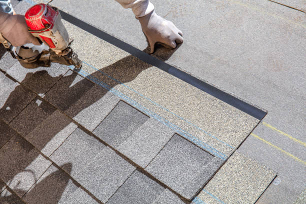 Best Roof Inspection Near Me  in Mount Zion, IL