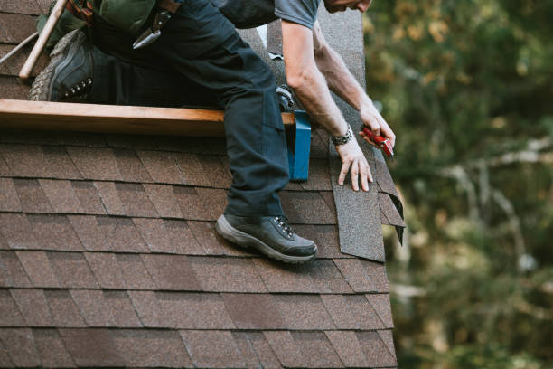 Best Flat Roof Repair Services  in Mount Zion, IL