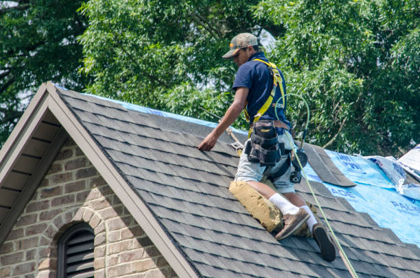 Best Tile Roofing Contractor  in Mount Zion, IL